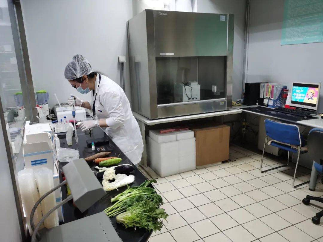 博尔塔拉食品检测实验室装修方案
